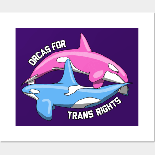 Orcas For Trans Rights Posters and Art